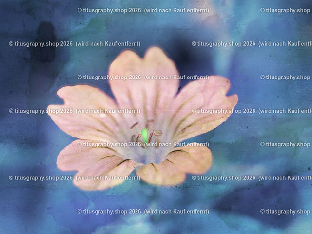 titusgraphy-P6080430_var-094 | Fotokunstarbeit aus der INSTAGRAM-Gallerie auf titusgraphy.eu - Realisiert mit Pictrs.com