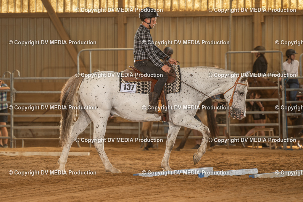 NID03567 | dv-media-shop - Realisiert mit Pictrs.com