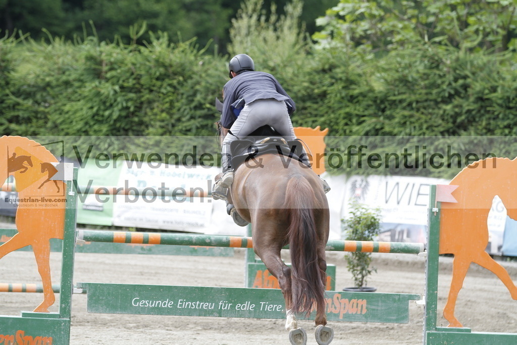 _MG_5182 | equestrian-live-com