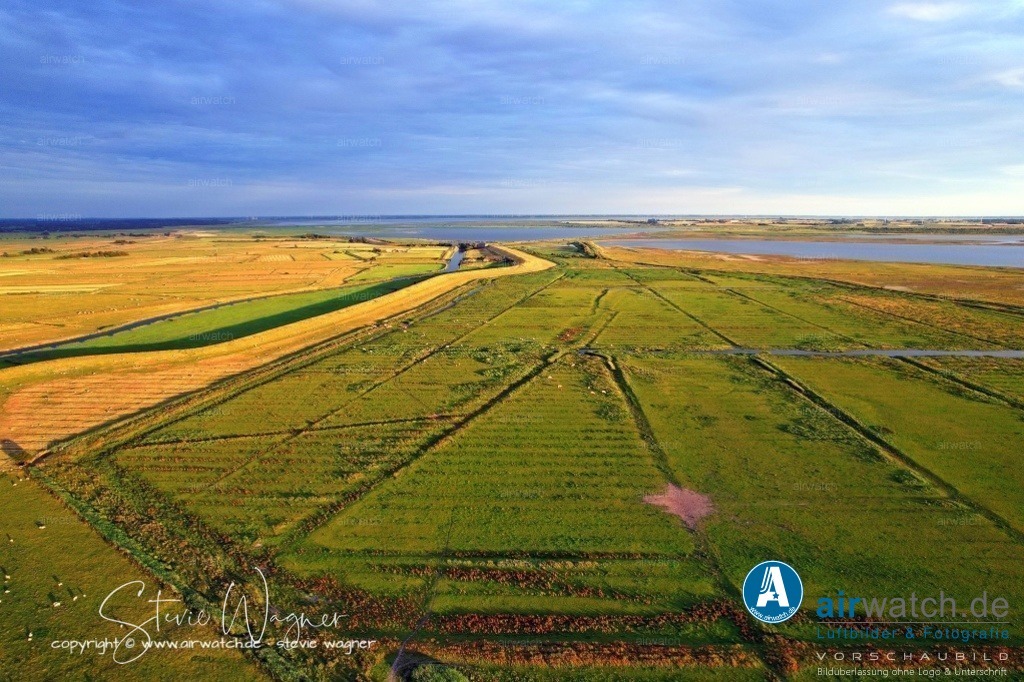 HattstedterKoog  & BeltringharderKoog | Der Koog wird heute überwiegend landwirtschaftlich genutzt. Die Siedlungsfunktion ist aufgrund seiner Lage stark begrenzt. Es handelt sich baurechtlich um einen Außenbereich, in dem nur privilegierte und sonstige Bauvorhaben zulässig sind.