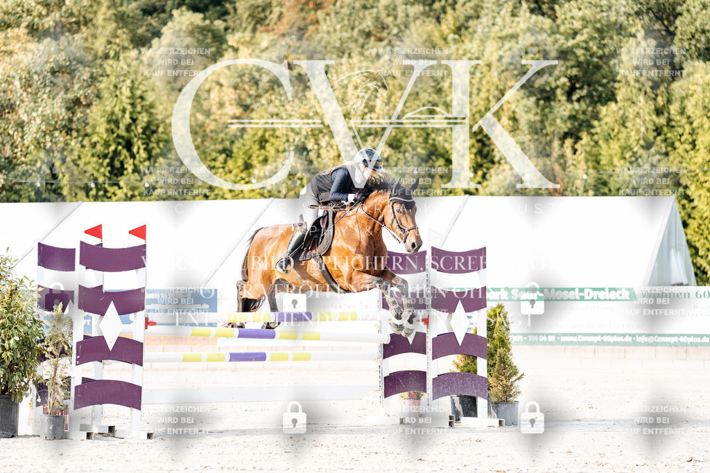 CK903273 | Turnierfotografie Pferdefotografie Trier Rheinland-Pfalz Pferdesport Reitsport Tierfotografie Sportfotografie Pferdevideo Pferdevideografie Equestrianvideography equestrianphotography  - Realisiert mit Pictrs.com