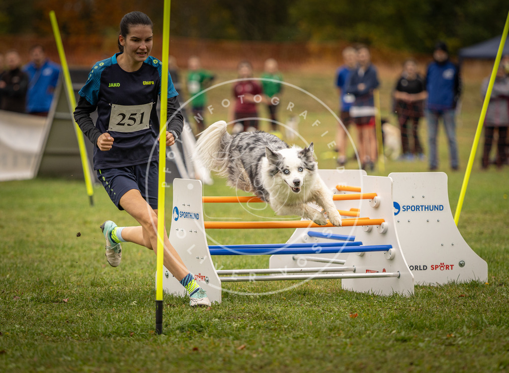 Pfotenfotografie_DV3A6110 | Hundefotografie, Tierfotograf, Pfotenfotografie, Fotoshooting Hund, Hunde Portrait, Hundesport, Hundeportraits, Heideshooting, Hunde, Sportfotograf, Hundefotograf, Turnierhundsport, THS,  - Realisiert mit Pictrs.com