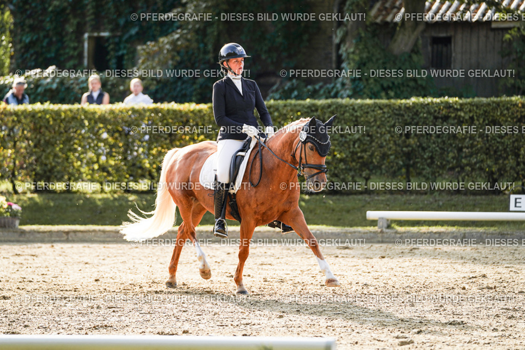 DSC05240 | Pferdegrafie