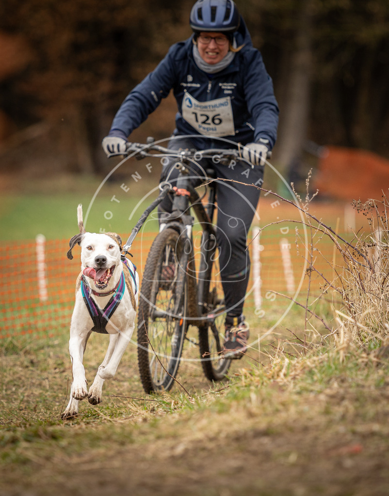 DV3A1667 | Hundefotografie, Tierfotograf, Pfotenfotografie, Fotoshooting Hund, Hunde Portrait, Hundesport, Hundeportraits, Heideshooting, Hunde, Sportfotograf, Hundefotograf, Turnierhundsport, THS,  - Realisiert mit Pictrs.com