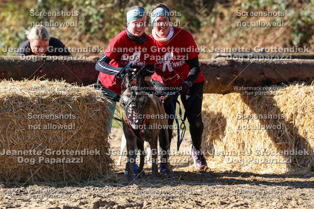 Dog Paparazzi - Strongdog 10-25-2786 | Dog Paparazzi Jeanette Grottendiek Fotografie & Videografie - Realisiert mit Pictrs.com