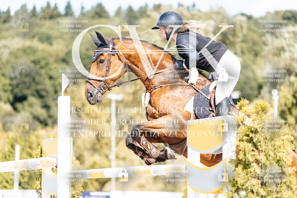 CK909050 | Turnierfotografie Pferdefotografie Trier Rheinland-Pfalz Pferdesport Reitsport Tierfotografie Sportfotografie Pferdevideo Pferdevideografie Equestrianvideography equestrianphotography  - Realisiert mit Pictrs.com