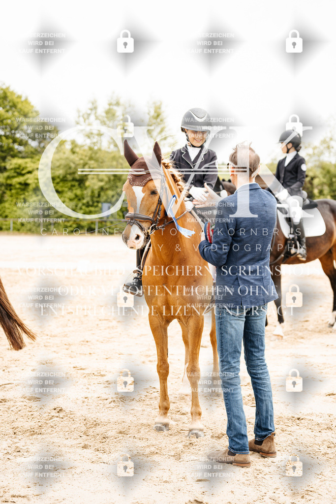 CK703665 | Turnierfotografie Pferdefotografie Trier Rheinland-Pfalz Pferdesport Reitsport Tierfotografie Sportfotografie Pferdevideo Pferdevideografie Equestrianvideography equestrianphotography  - Realisiert mit Pictrs.com