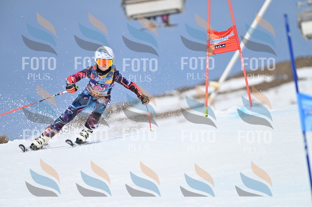 BGV_2753 | holidayphoto