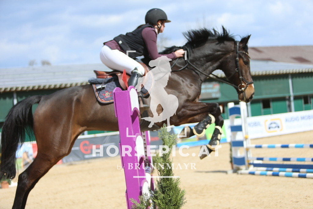 DL2Q8999 | Willkommen bei Brunnmayr - Design & Fotografie – Ihrem Spezialisten für Reitturniere und Pferdeveranstaltungen in Oberösterreich, Salzburg und Bayern! Seit über 17 Jahren sind wir leidenschaftlich dabei.