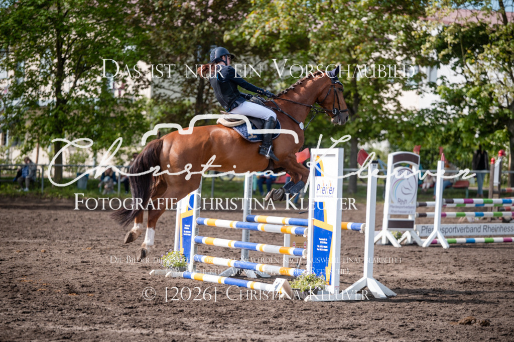 DSC_0497 | Christina-Kleuver