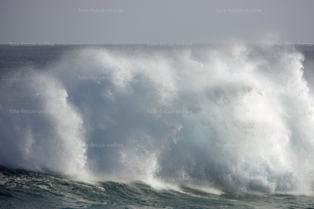 Wild Waves | Wild Waves Atlantic