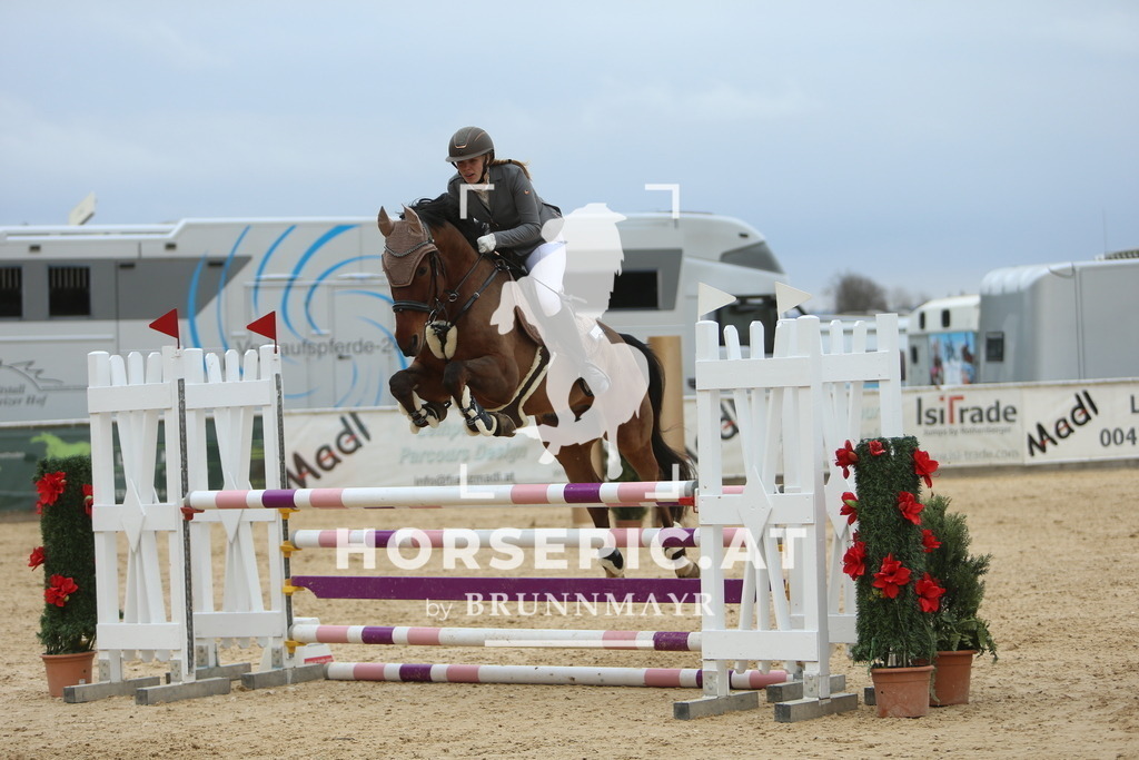 DL2Q6959 | Willkommen bei Brunnmayr - Design & Fotografie – Ihrem Spezialisten für Reitturniere und Pferdeveranstaltungen in Oberösterreich, Salzburg und Bayern! Seit über 17 Jahren sind wir leidenschaftlich dabei.