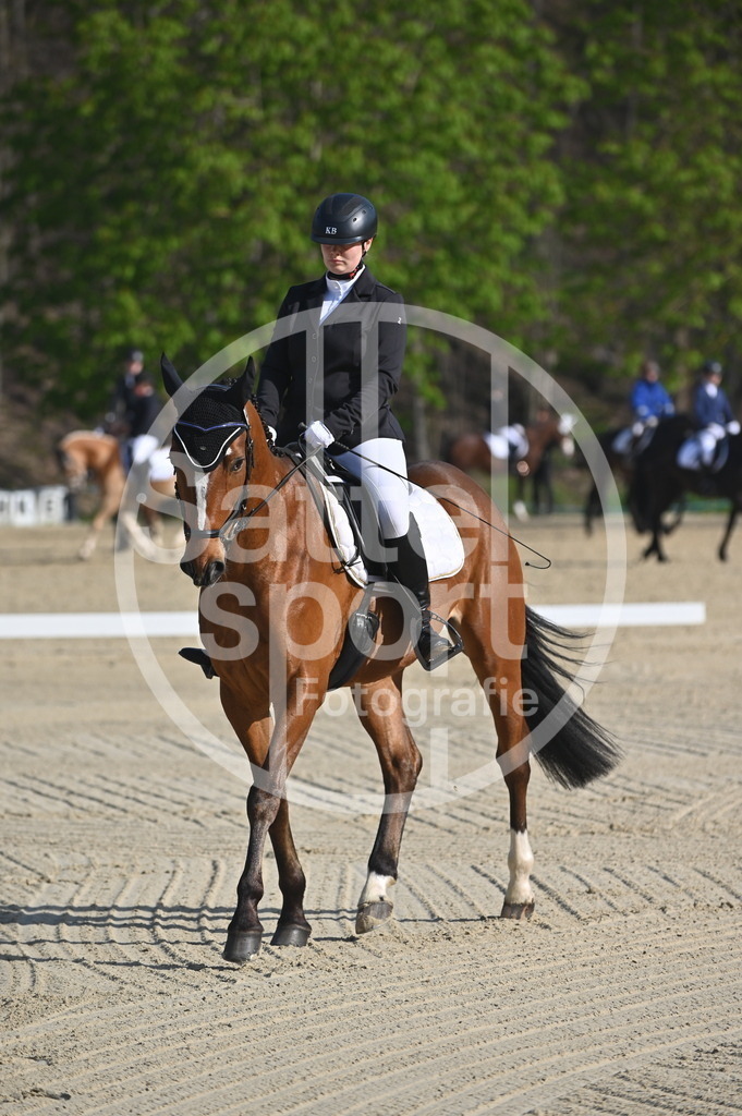 DSC_9958 | sattelsport - Realisiert mit Pictrs.com