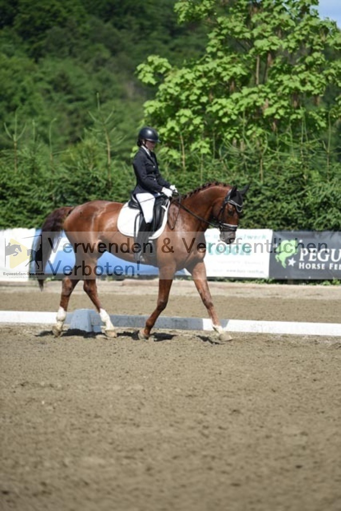 DSC_9815 | equestrian-live-com