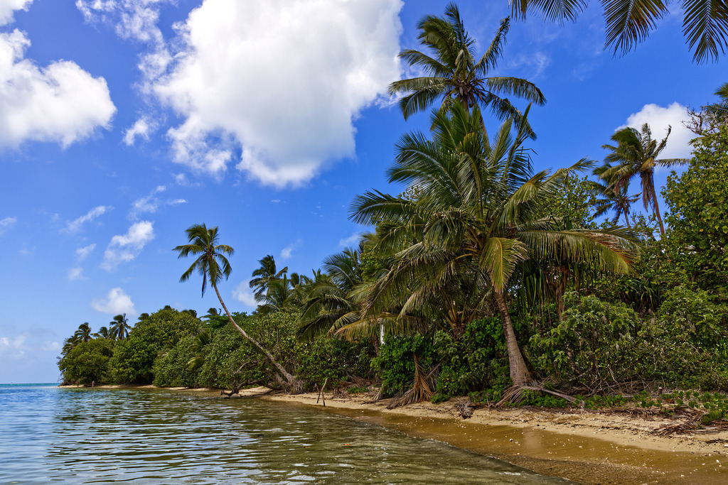 1H5A4310 | ansichtssache