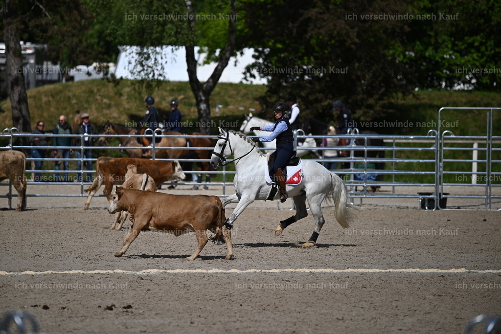 PI26_COW_Sara Landvogt226_7319.JPG | working equitationturnier fotograf videograf stoibphotography marixx film working equitation deutschland reitsport turnierfotografie eventfotografie equestrian events