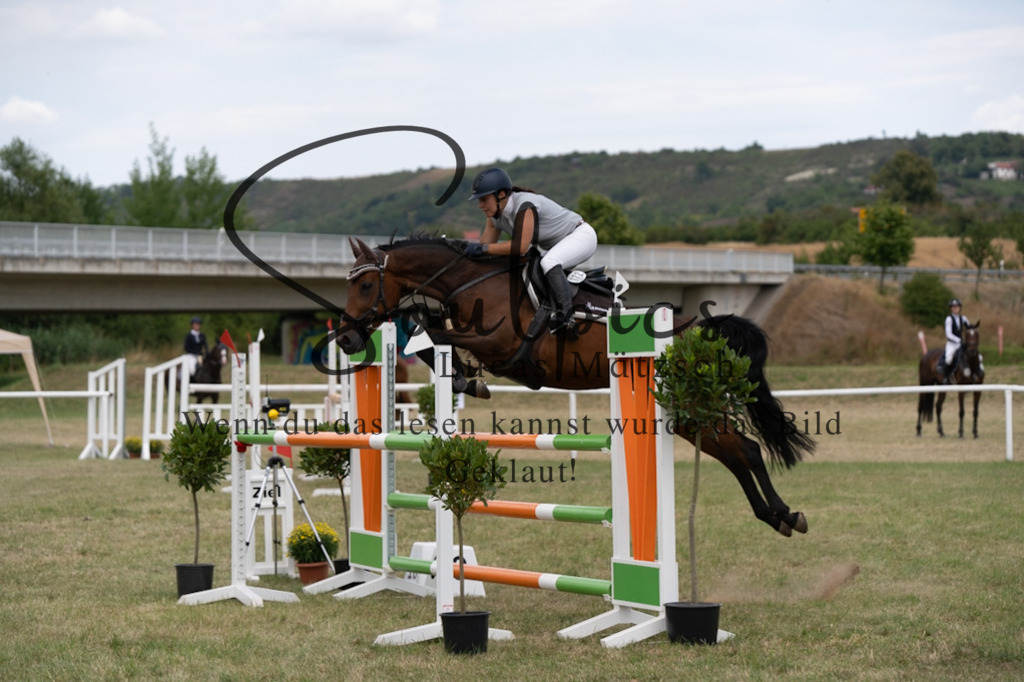 A7V02119 | Pferdefotograf