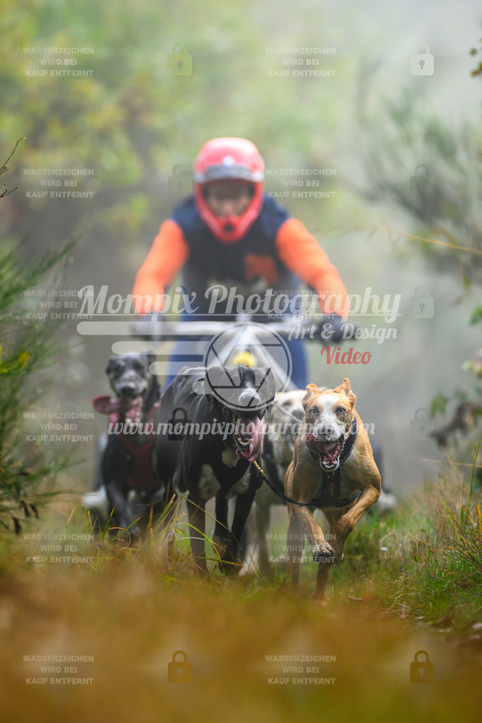 MompixPhotography_20TSB_E4_Kart-6 | PayLife