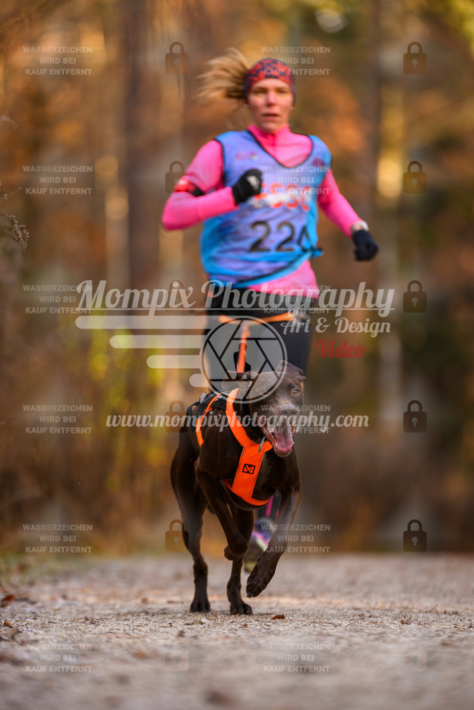 MompixPhotography_DM_AKDM_SO_2025_-28 | PayLife