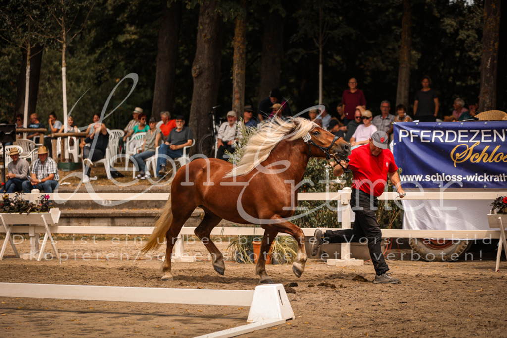 5.Sa00040 | Leoni Ertmer Photography - Realisiert mit Pictrs.com