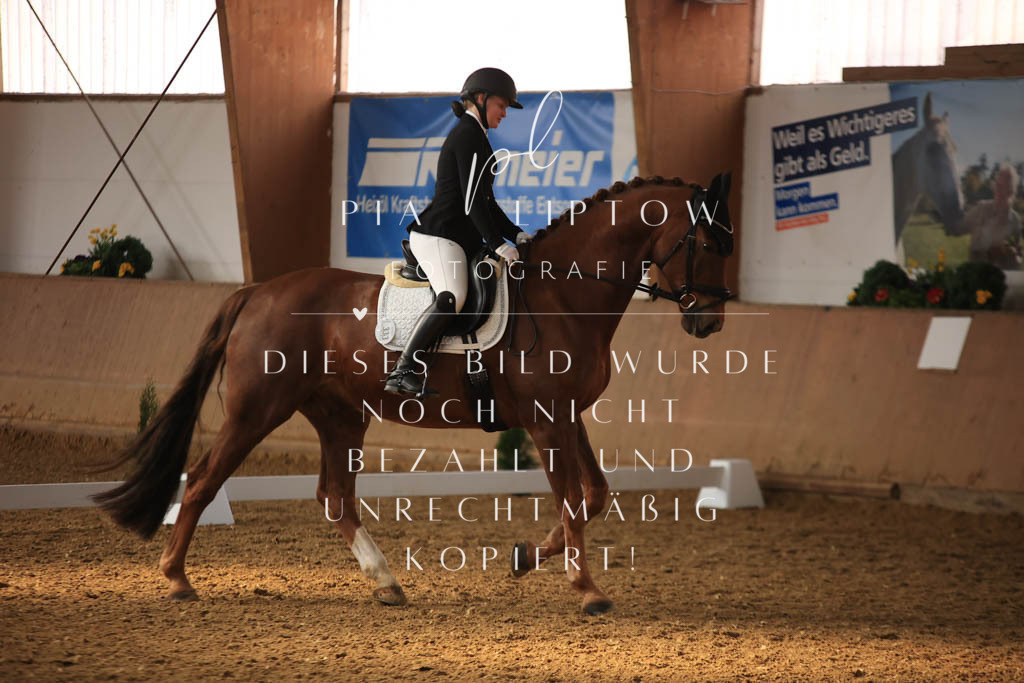 IMGT7802 | pl-fotografie