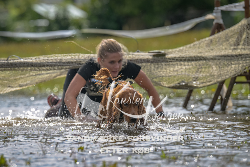 1325_ZZ91079 | kk-dogfotos
