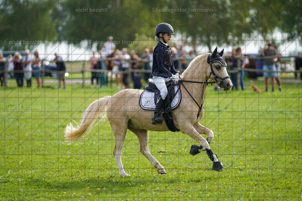 20230917-FAH09146 | Landsberg am Lech, 2023, Kaufbeuren, Kempten, Allgäu, Turnierfotografen Bayern, Fotoagentur Herrmann, Turnierbilder, Reitsport Fotos, Pferdefotograf, Augsburg, Bad Tölz, Dachau, Karlsfeld, Memmingen, Buchloe, Schwabmünchen