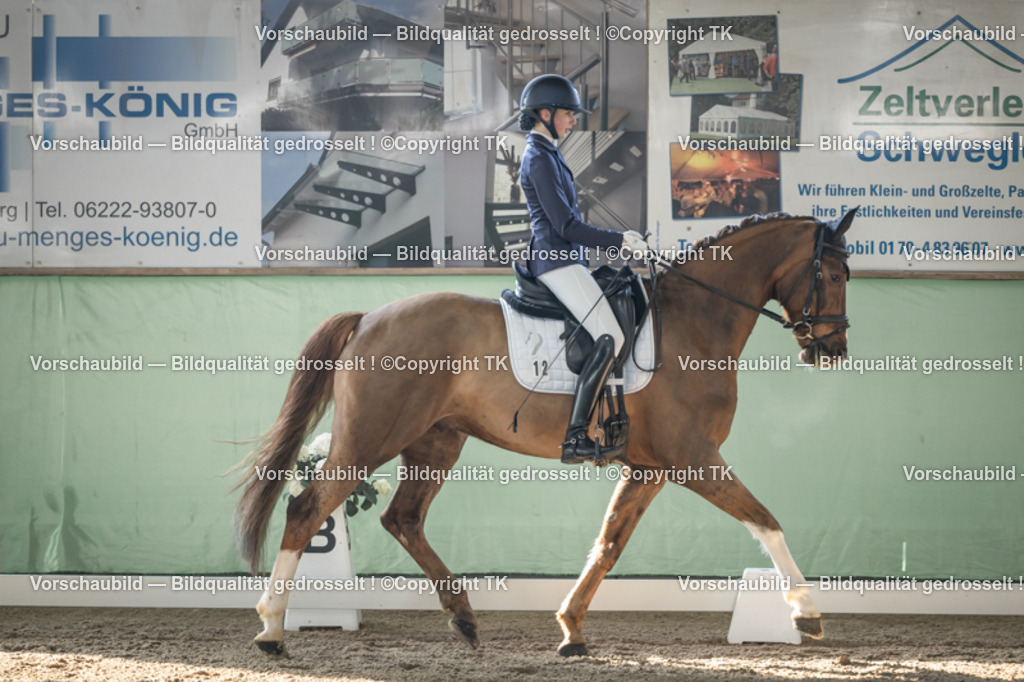 _D5A0582 | Emotionale Pferde- & People-Fotografie rund um Heidelberg, Leimen & Umgebung. Natürliche Fotos von Pferd, Mensch & Familie. Jetzt Termin sichern!