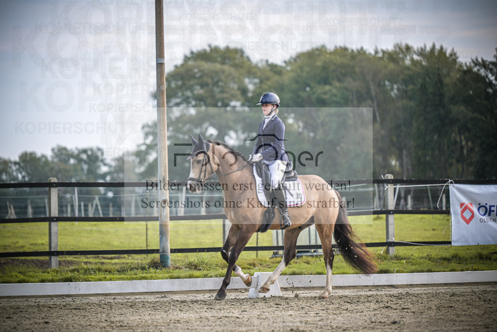 DOS_B041 | Entdecke hochwertige Reitturnierfotos von Foto Oger. Professionell, emotional und authentisch – jetzt Lieblingsmomente im Shop bestellen.Deutschlandweite Turnierfotografie. - Realisiert mit Pictrs.com