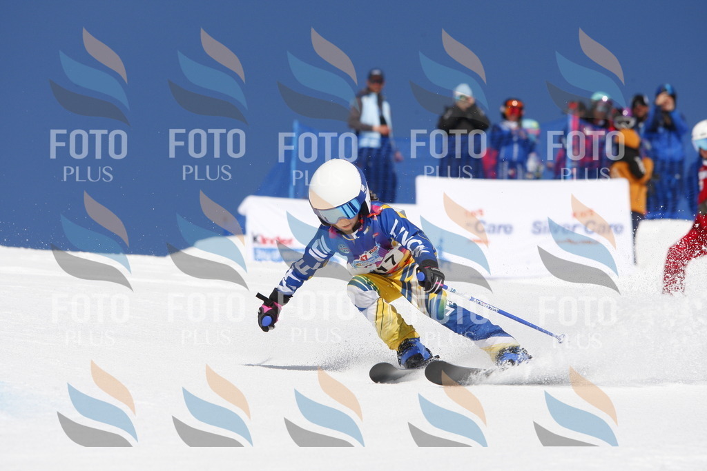 _W1G1752 | holidayphoto