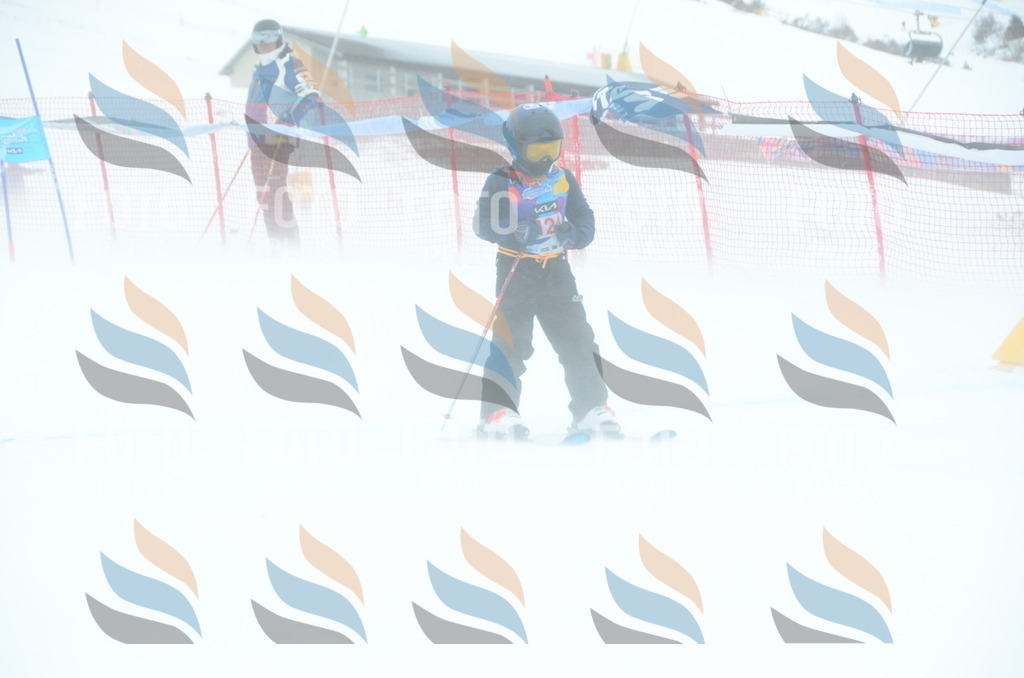 DSC_1276 | holidayphoto