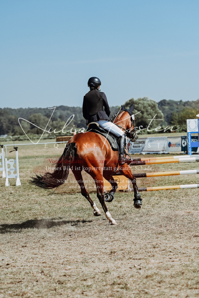 DSC_9781 | Pferde- und Turnierfotografie in Westsachsen. Pferdeportraits, Auftragszeichnungen und intuitive Kunst.