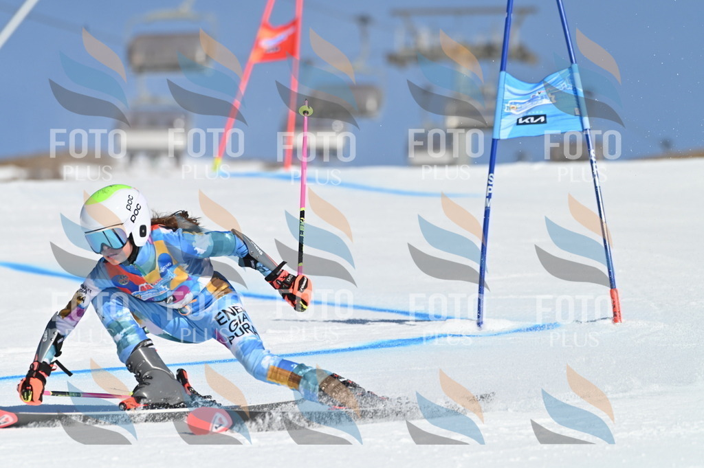 BGV_7621 | holidayphoto