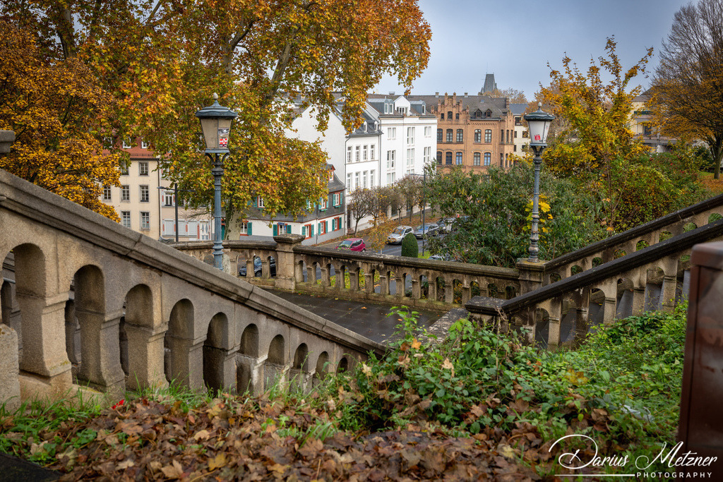 DSC_4337 | Fotografien, Fotos und Bilder aus Mainz, Frankfurt, Wiesbaden und anderen Orten auf der Welt - Fotografiert von Darius Metzner