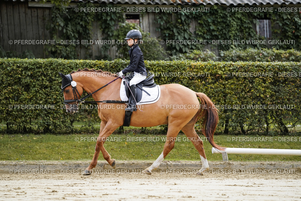 DSC05456 | Pferdegrafie