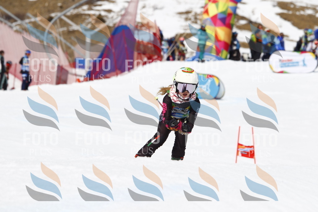 _U3G8165 | holidayphoto