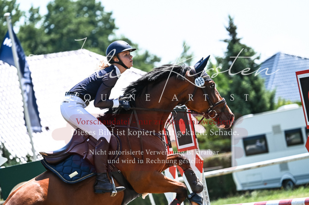 DSC_0183 | Pferde- und Turnierfotografie in Westsachsen. Pferdeportraits, Auftragszeichnungen und intuitive Kunst.