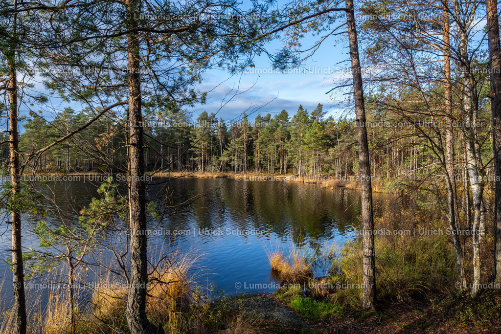 10047-10099 - Herbststimmung am See - Norwegen | Stockfoto und Bilderpool mit Bildmaterial aus Deutschland, dem Harz, Halberstadt, Quedlinburg, Wernigerode und weltweit. Qualitativ hochwertige und professionelle Fotos anschauen und kaufen. - Realisiert mit Pictrs.com