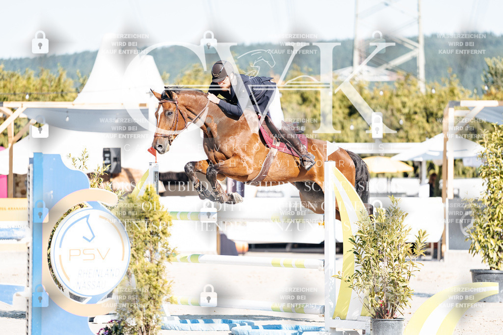 CK904628 | Turnierfotografie Pferdefotografie Trier Rheinland-Pfalz Pferdesport Reitsport Tierfotografie Sportfotografie Pferdevideo Pferdevideografie Equestrianvideography equestrianphotography  - Realisiert mit Pictrs.com