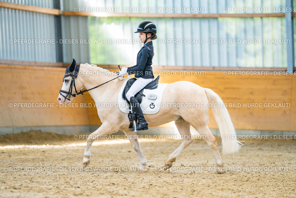 DSC07464 | Pferdegrafie