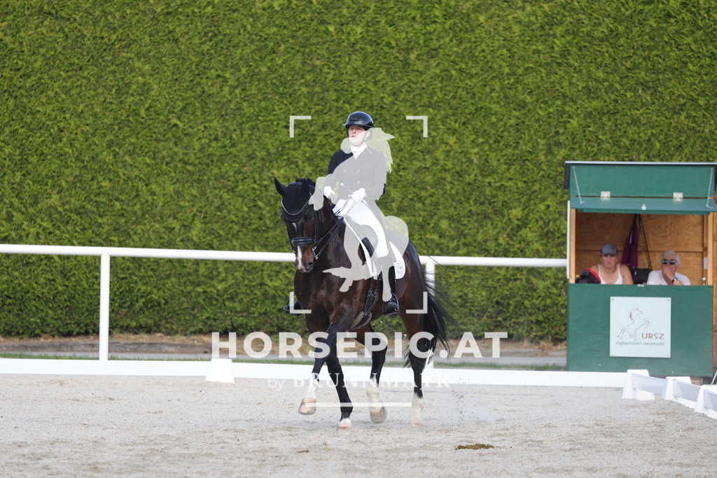 0P6A3738 | Willkommen bei Brunnmayr - Design & Fotografie – Ihrem Spezialisten für Reitturniere und Pferdeveranstaltungen in Oberösterreich, Salzburg und Bayern! Seit über 17 Jahren sind wir leidenschaftlich dabei.