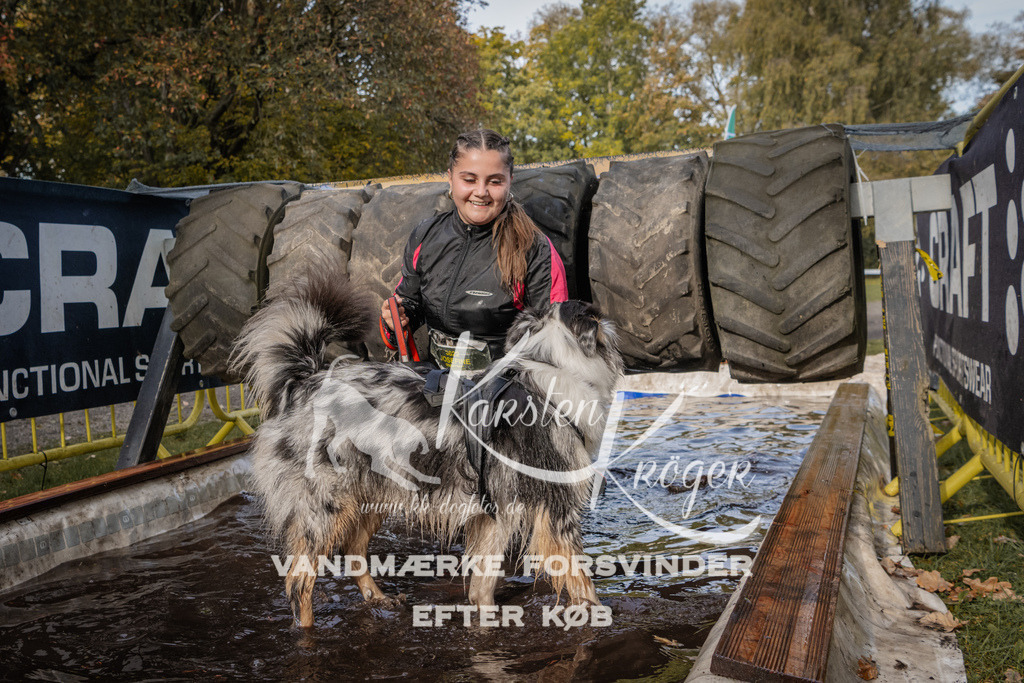 1423_ZZ94467 | kk-dogfotos