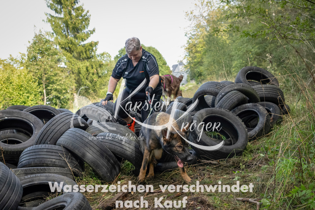 1504_ZZ91042-Bearbeitet | kk-dogfotos
