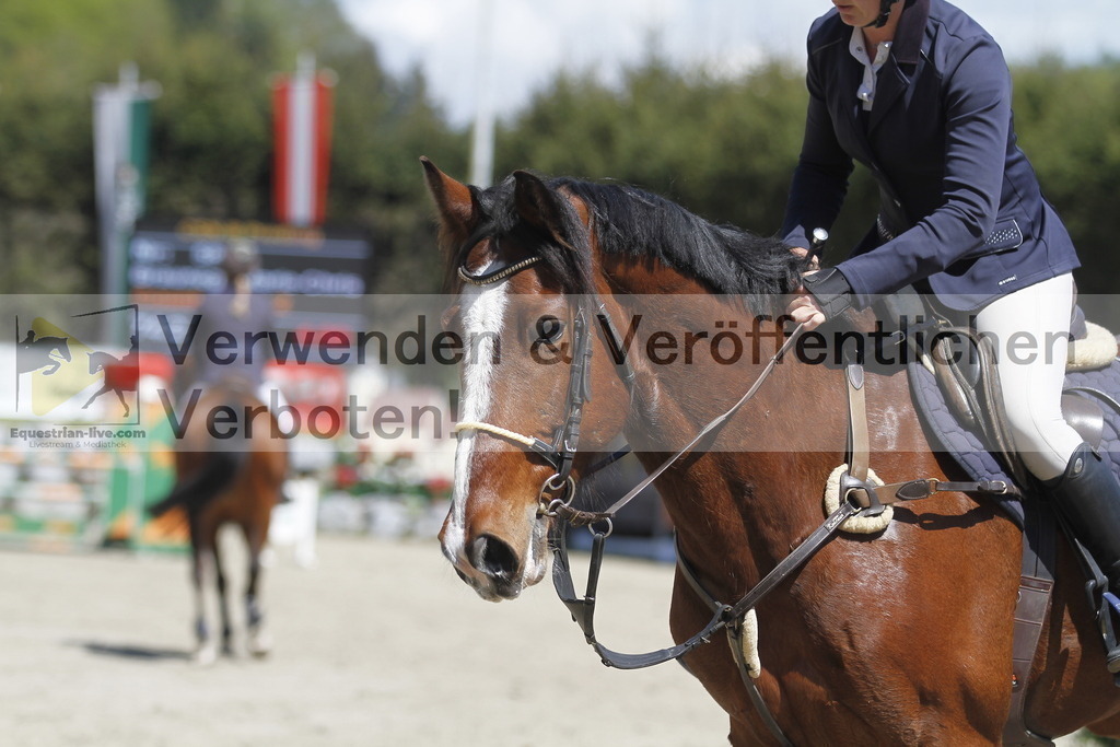 _MG_5727 | equestrian-live-com