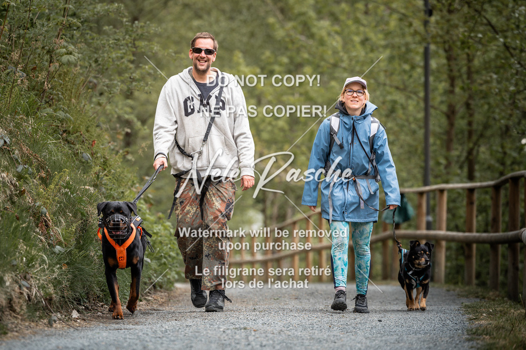nelerasche_SaAbends_31 | nelerasche