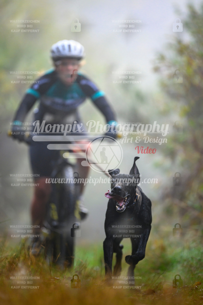 MompixPhotography_20TSB_E4_Bike-75 | PayLife