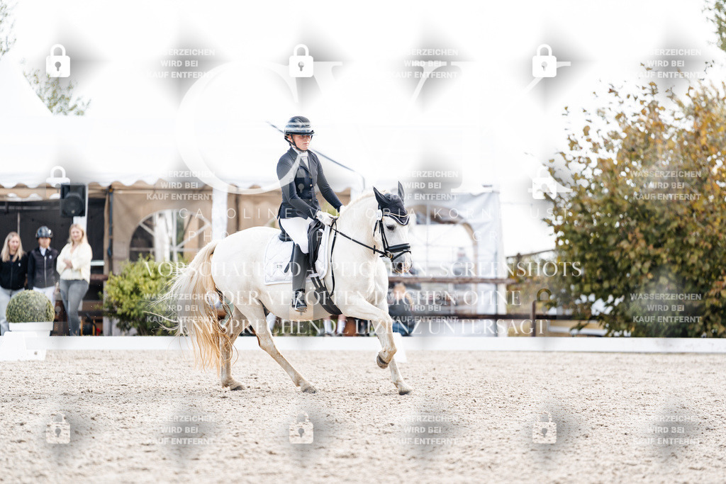 CK901555 | Turnierfotografie Pferdefotografie Trier Rheinland-Pfalz Pferdesport Reitsport Tierfotografie Sportfotografie Pferdevideo Pferdevideografie Equestrianvideography equestrianphotography  - Realisiert mit Pictrs.com