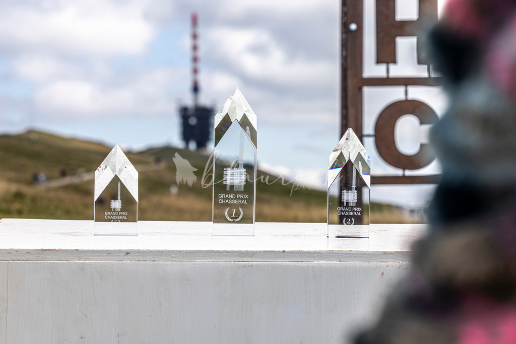 _01A6066 | Sportbilder, Sportfotograf, Hochzeits- und Eventfotografin, Flugshows, Portraits und Tiershooting, Aviation, Downhill, Nationalleague, Swissleague, International