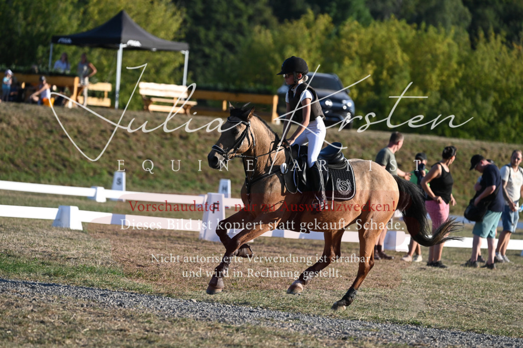 DSC_9174 | Pferde- und Turnierfotografie in Westsachsen. Pferdeportraits, Auftragszeichnungen und intuitive Kunst.
