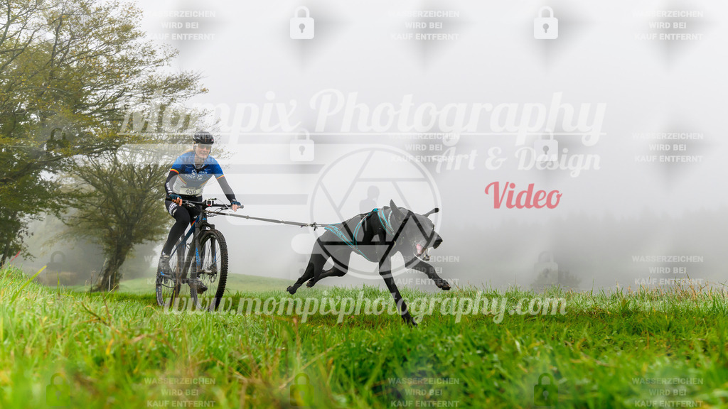 MompixPhotography_20TSB_E5_Bike-32 | PayLife